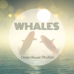 Whales, Deep House Rhythm