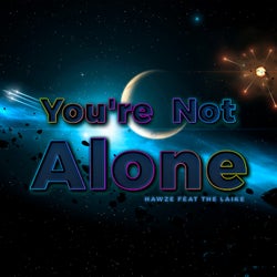 You're Not Alone (feat. the Laike)