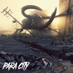 Para city (feat. Graz97)