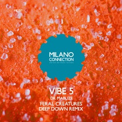 Vibe 5 (Feral Creatures Deep Down Remix)
