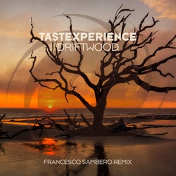 Driftwood - Francesco Sambero Remix