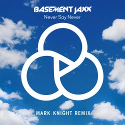 Never Say Never (Mark Knight Remix)