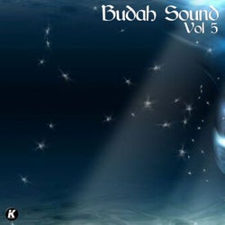 Budah Sound, Vol. 5