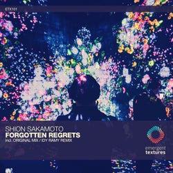 Forgotten Regrets