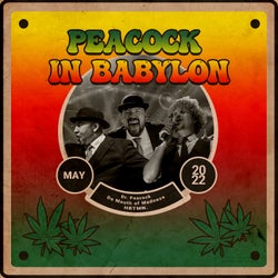 Peacock in Babylon - Dj Edit