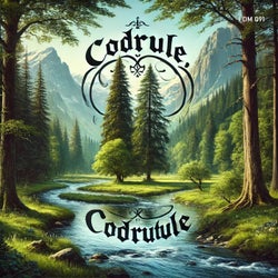 Codrul