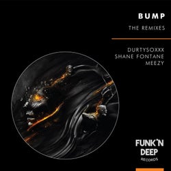 Bump The Remixes