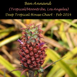 Ben Annand Deep Tropical House Chart Feb 2014