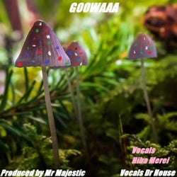 GOOAAA