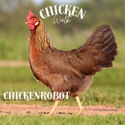 Chicken Walk