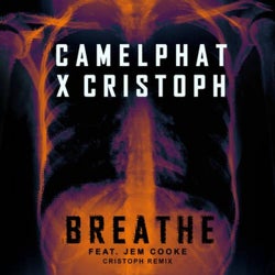 Breathe (Cristoph Remix)