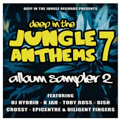 Deep In The Jungle Anthems 7 - LP Sampler 2