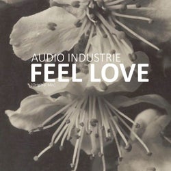 Feel Love (Original Mix)