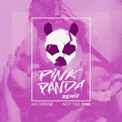 Not the One (Pink Panda House Mix)