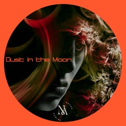 Dust in the Moon