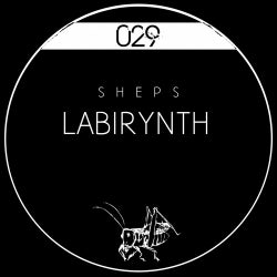 Labyrinth