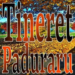Tineret (Paduraru Fit Mix)