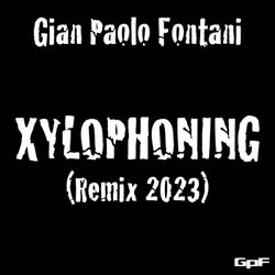 Xylophoning (Remix 2023)