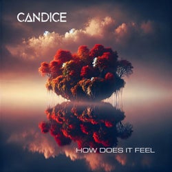 How Does It Feel