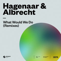 What Would We Do (Remixes)