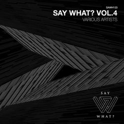Say What?, Vol. 4