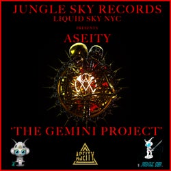 The Gemini Project