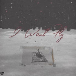 I Wan't Fly