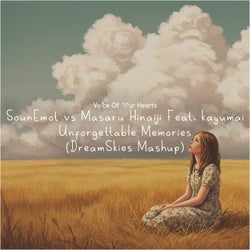 Unforgettable Memories (Dreamskies Mashup)
