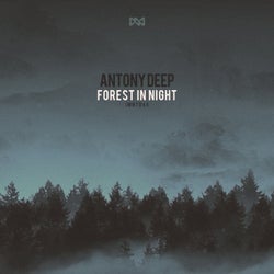 Forest In Night