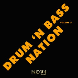 Drum 'N Bass Nation, Vol. 2