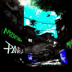 MONTAGEM FAVELA