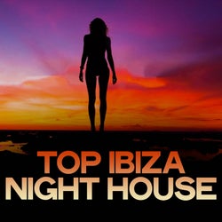 Top Ibiza Night House