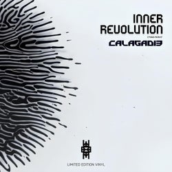 INNER REVOLUTION