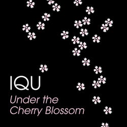 Under the Cherry Blossom