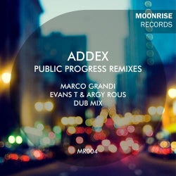 Public Progress (Remixes)
