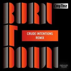 Burn It Down (Crude Intentions Remix)