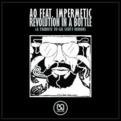 Revolution In A Bottle (feat. Impermetic)