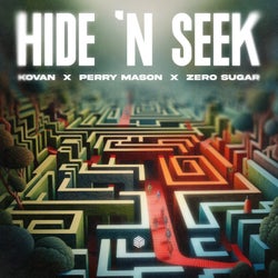 Hide n Seek (Extended Mix)