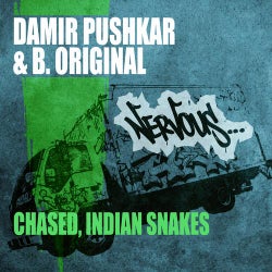 Chased / Indian Snakes