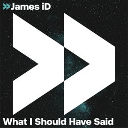 What I Should Have Said (Extended)