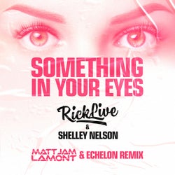 Something In Your Eyes (Matt Jam Lamont & Echelon Remix)