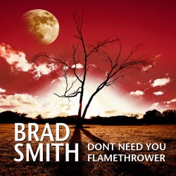 Dont Need You / Flamethrower