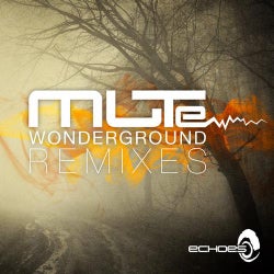 Wonderground - Remixes