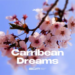 Carribean Dreams
