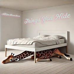 THINGS YOU HIDE