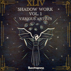 Shadow Work Vol. 1