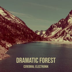 Dramatic Forest