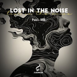 Lost in the Noise