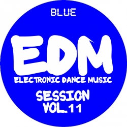 EDM (ELECTRONIC DANCE MUSIC) RECORDS PART.2