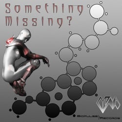 Something Missing